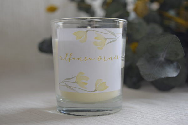 Vela Lorea transparente