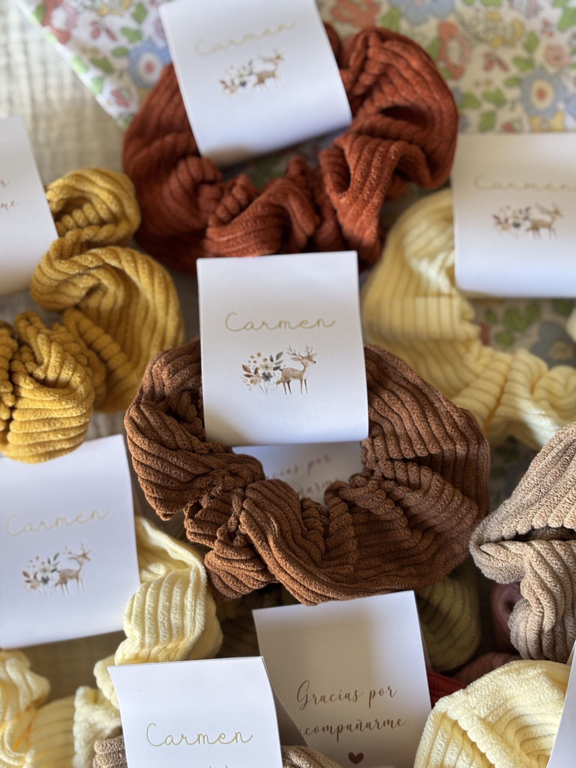 Coleteros Olivieta - Imagen 12