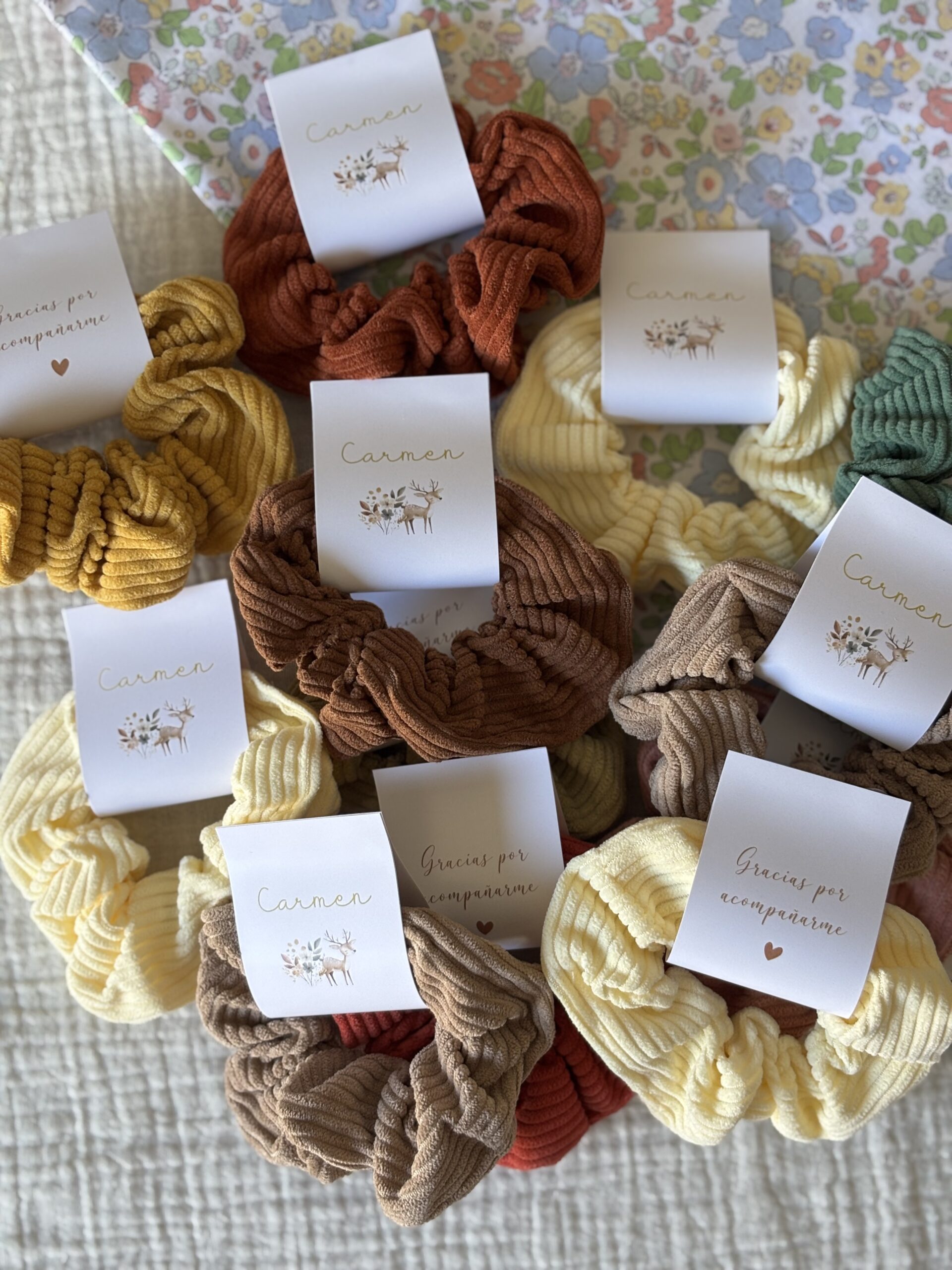 Coleteros Olivieta - Imagen 13