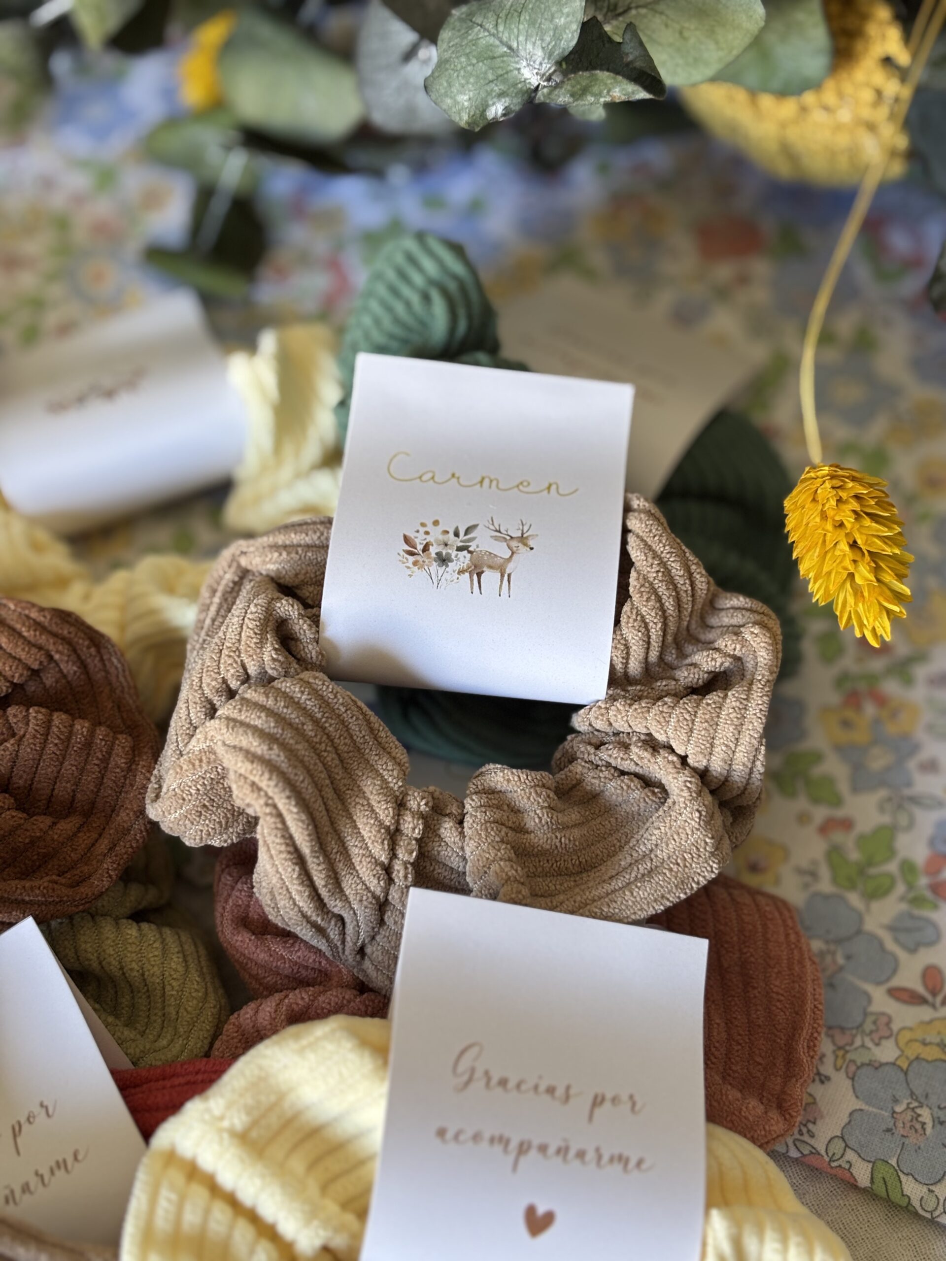 Coleteros Olivieta - Imagen 15